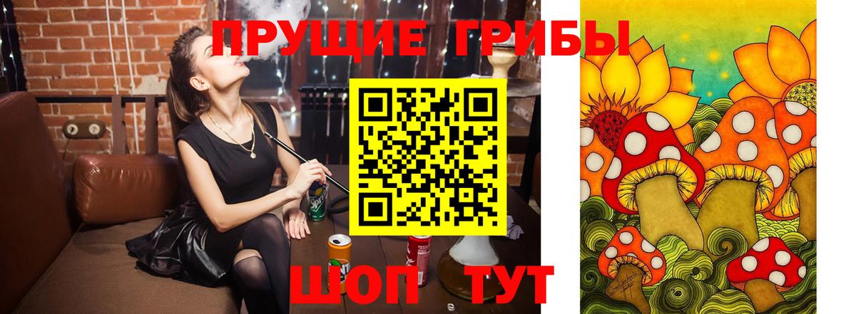Галлюциногенные грибы мицелий Ростов Великий