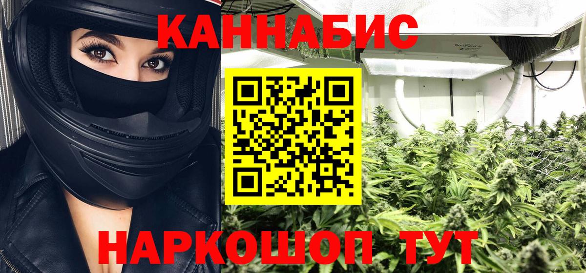 Каннабис ГИДРОПОН Ростов Великий